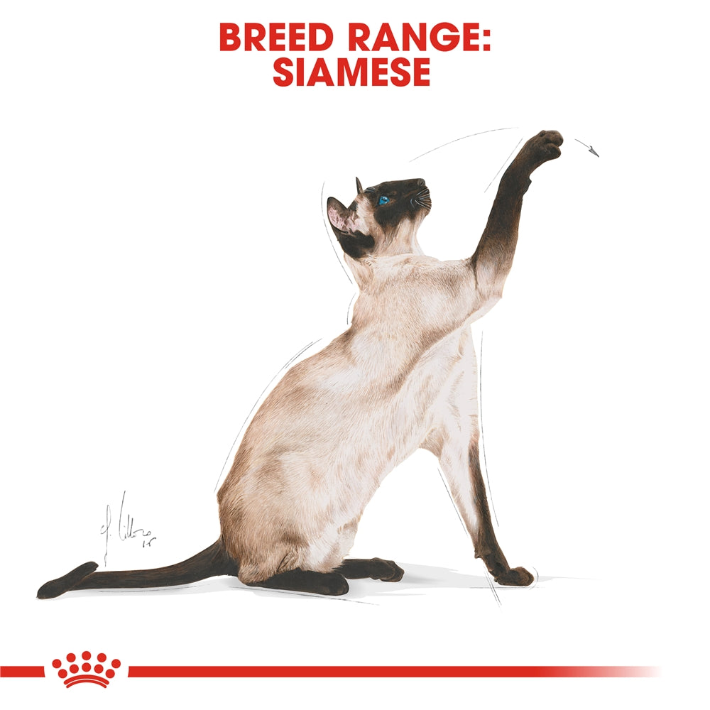 Royal Canin Dry Cat Food for Adult Siamese Cats, 2kg