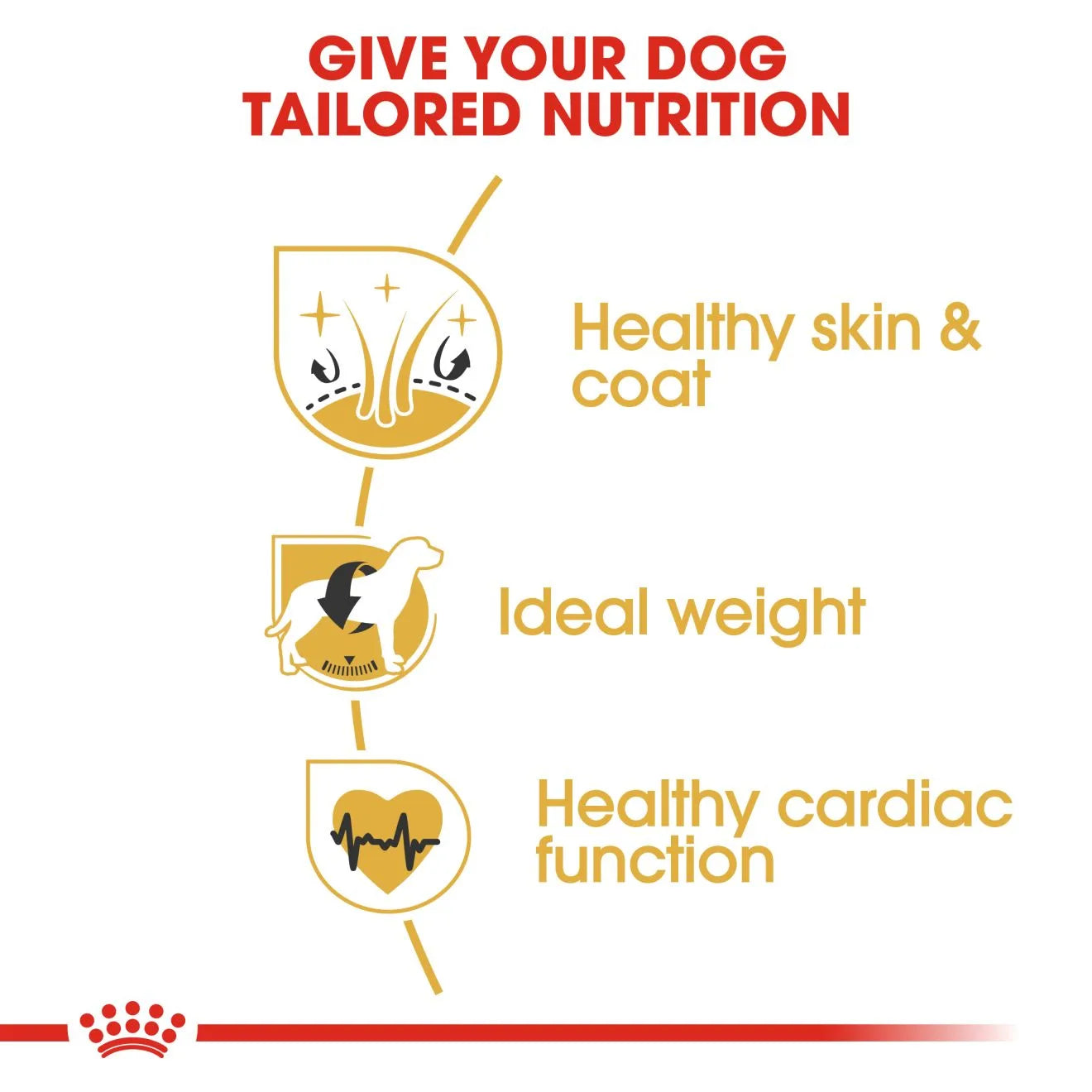 Royal Canin Dry Dog Food for Adult Cocker Spaniels