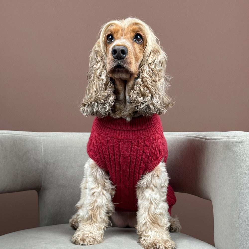 Cocopup Mulled Wine Cable Knit Dog Jumper
