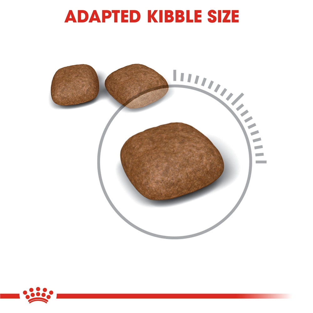 Royal Canin Urinary Care Dry Cat Food for Adult Cats