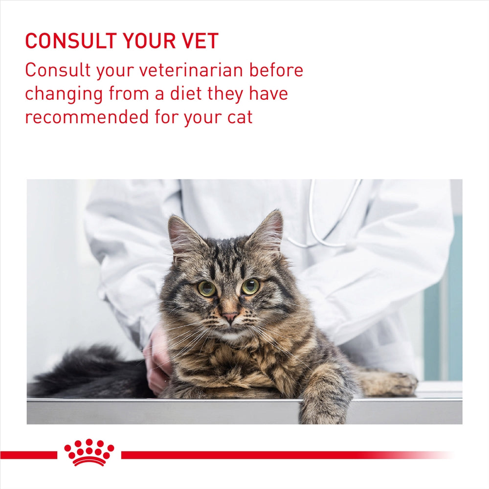 Royal Canin Urinary Care Dry Cat Food for Adult Cats