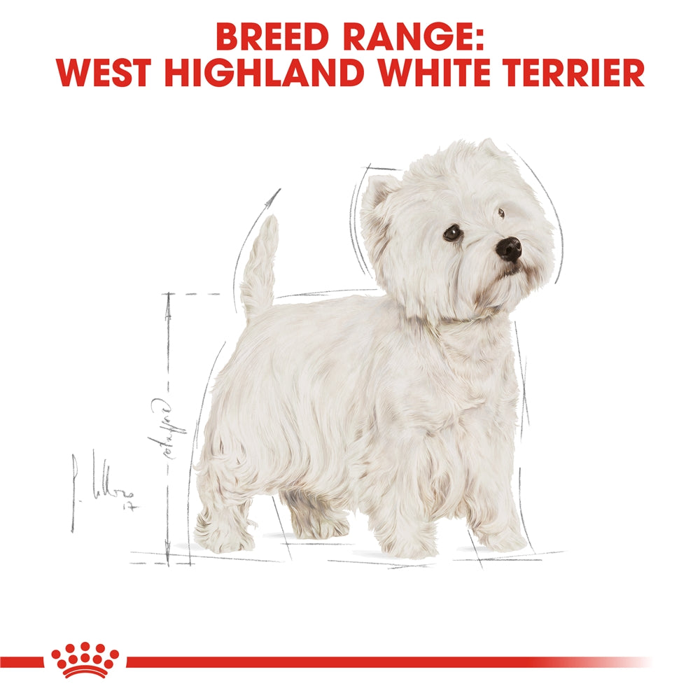 Royal Canin West Highland White Terrier Dry Dog Food for Adult Dogs, 3kg