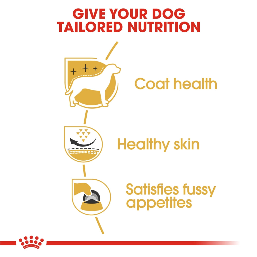 Royal Canin West Highland White Terrier Dry Dog Food for Adult Dogs, 3kg