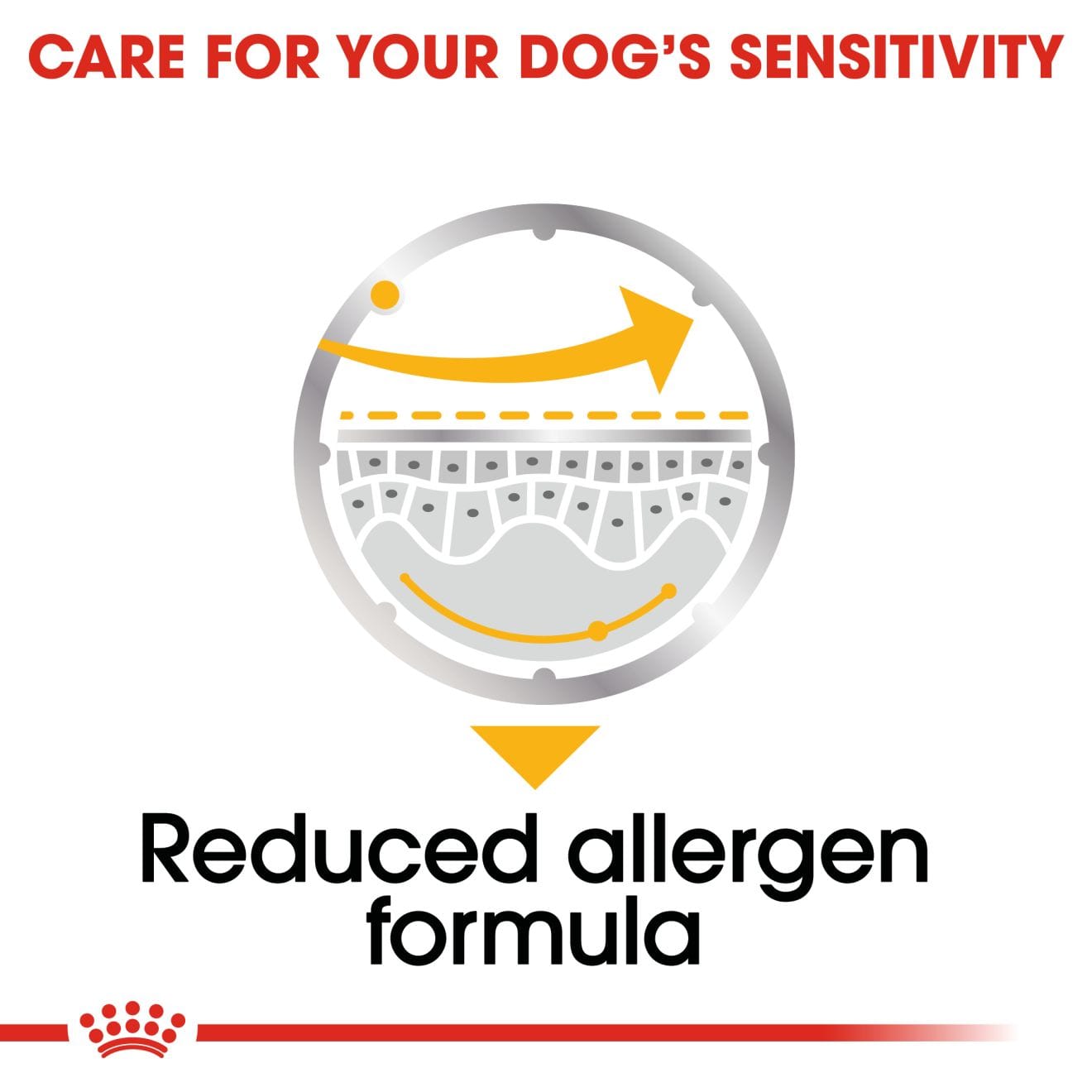 Royal Canin Dermacomfort Wet Dog Food In Loaf for Adult Dogs, 85g