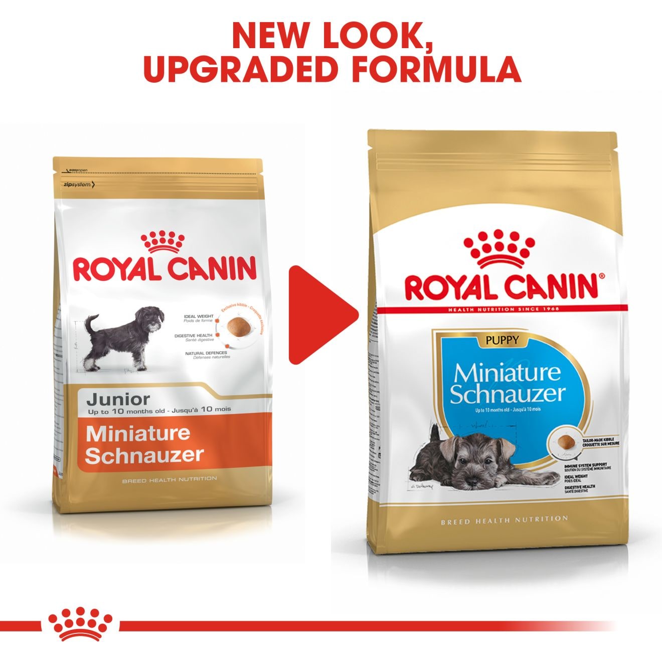 Royal Canin Dry Dog Food for Schnauzer Puppies, 1.5kg