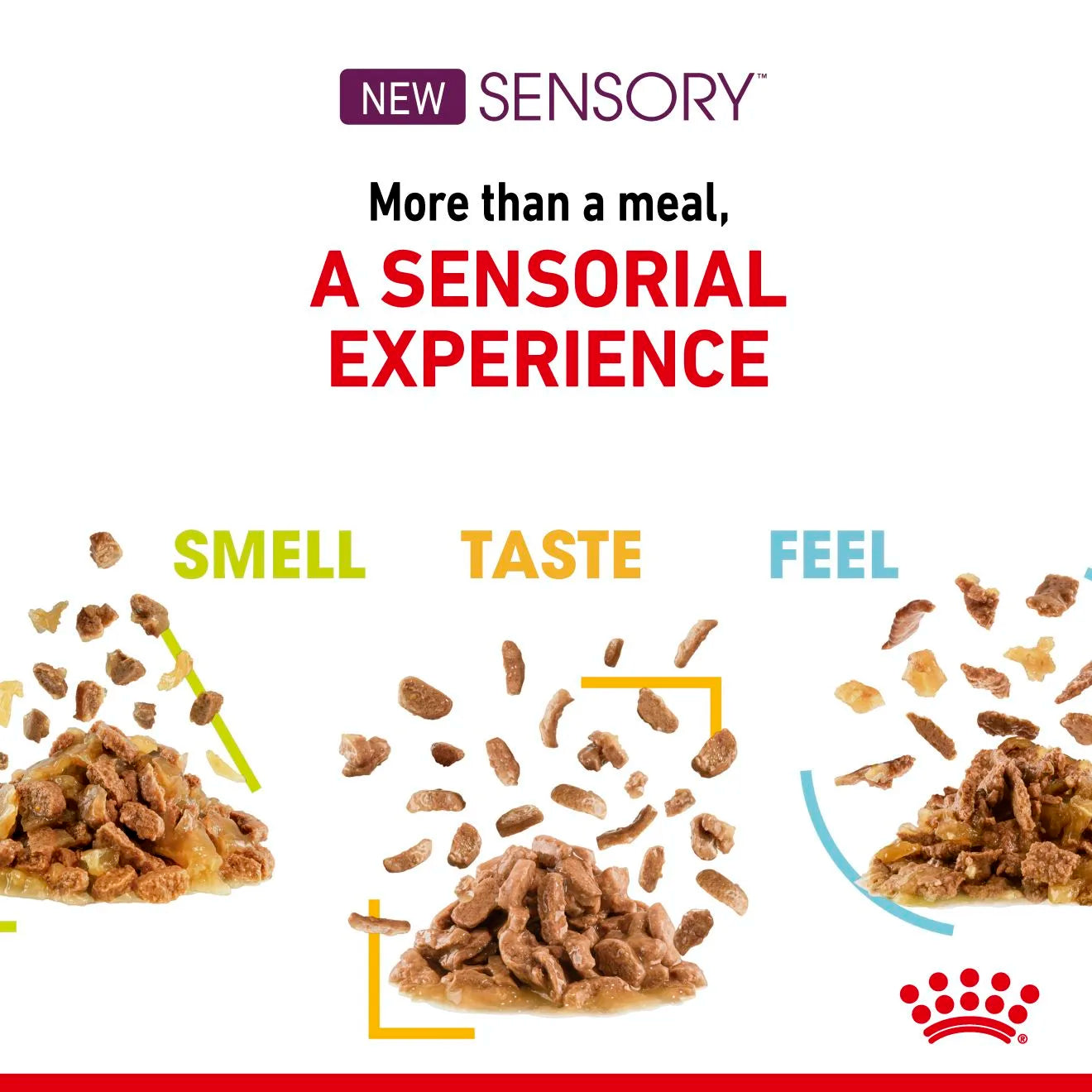 Royal Canin Sensory Mixed Pack Wet Cat Food for Adult Cats, 12 x 85g