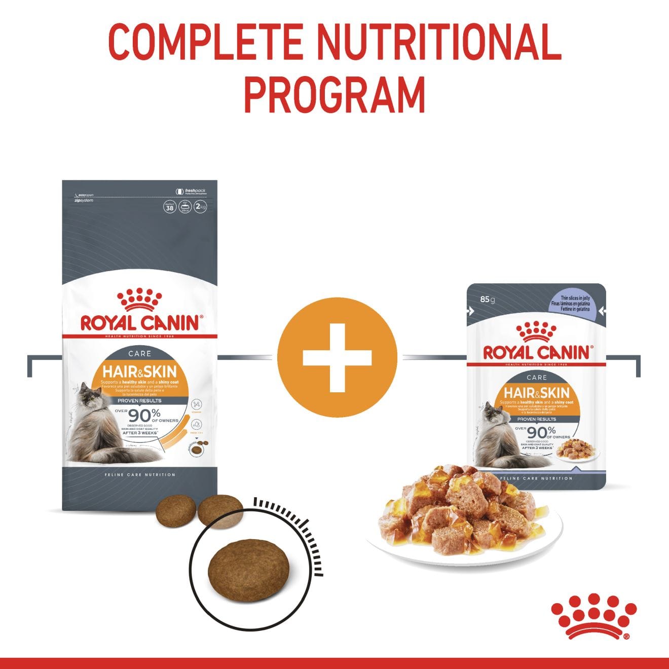 Royal Canin Hair & Skin Care Wet Cat Food Thin Slices In Jelly for Adult Cats, 85g