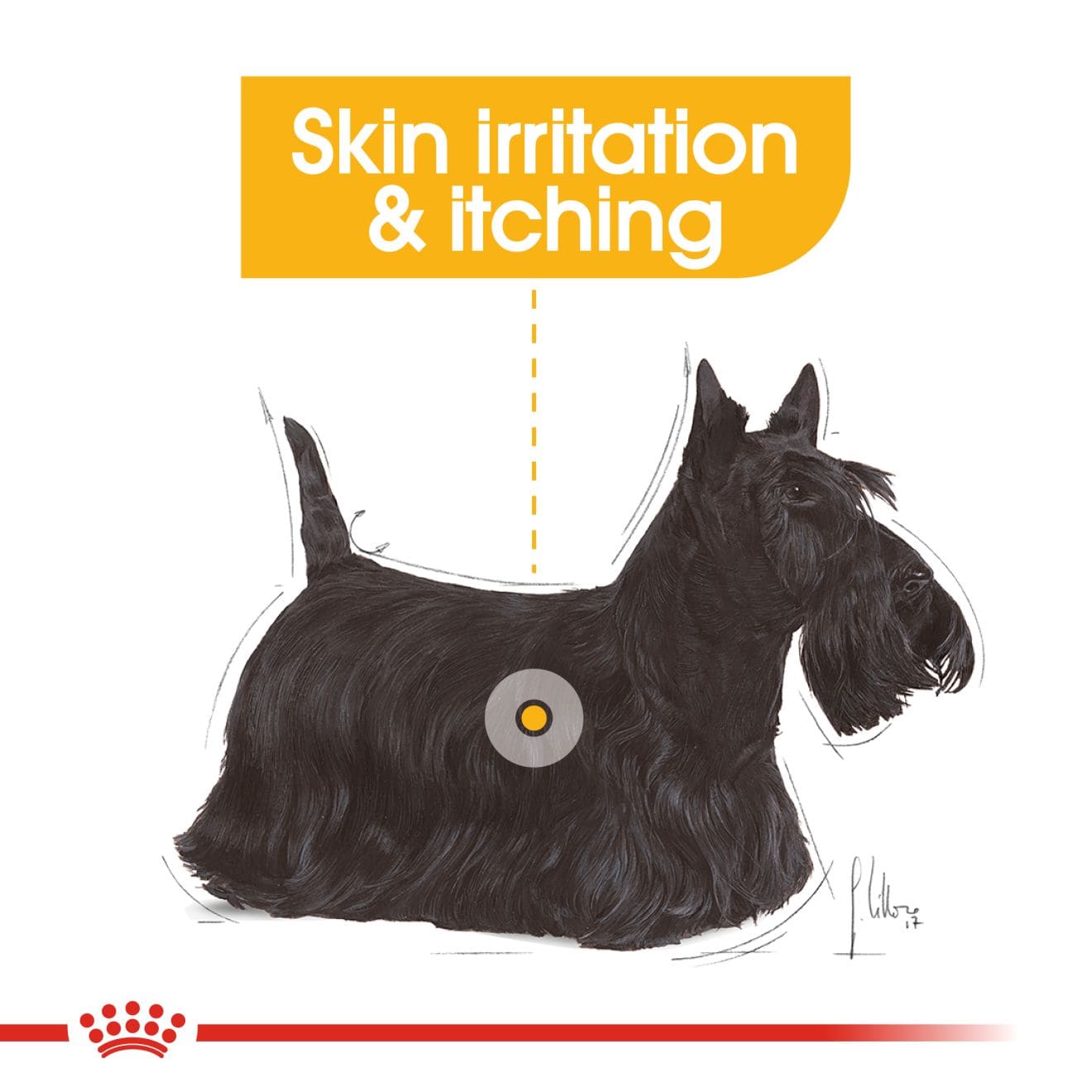 Royal Canin Dermacomfort Wet Dog Food In Loaf for Adult Dogs, 85g