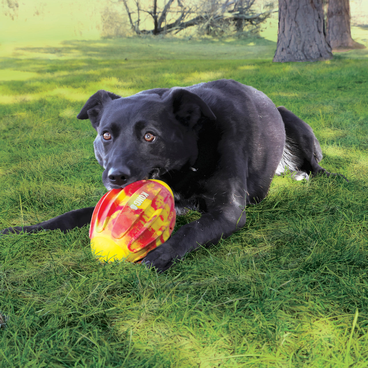Kong Flexball Sport Football Dog Toy, Medium