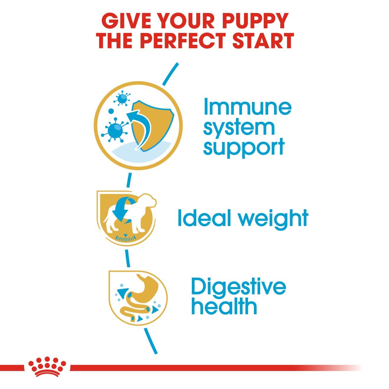 Royal Canin Dry Dog Food for Schnauzer Puppies, 1.5kg