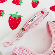 Cocopup Strawberry Picnic Pup Dog Lead