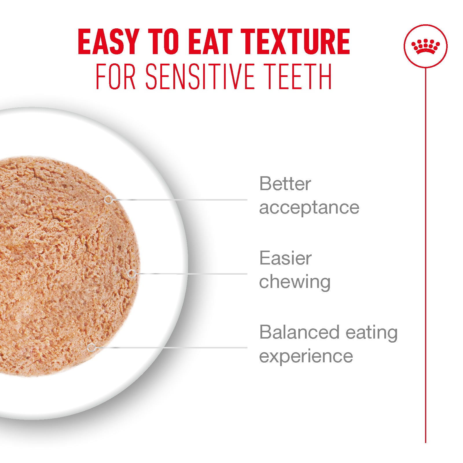 Royal Canin Ageing 11+ Ultra Soft Mousse Wet Cat Food for Senior Cats, 85g