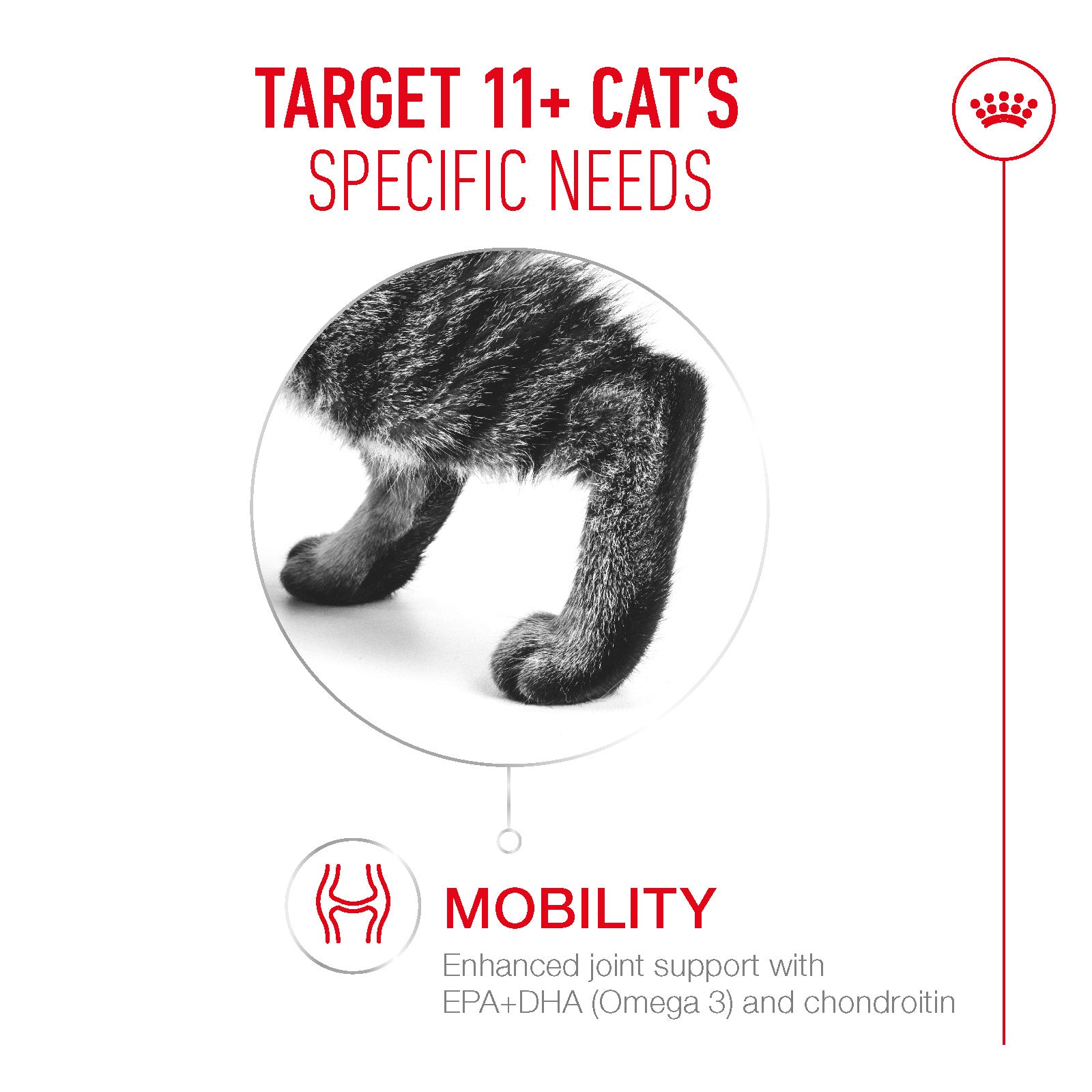 Royal Canin Ageing 11+ Ultra Soft Mousse Wet Cat Food for Senior Cats, 85g