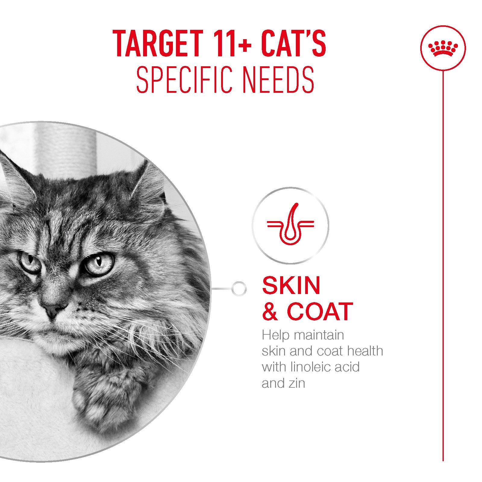 Royal Canin Ageing 11+ Ultra Soft Mousse Wet Cat Food for Senior Cats, 85g
