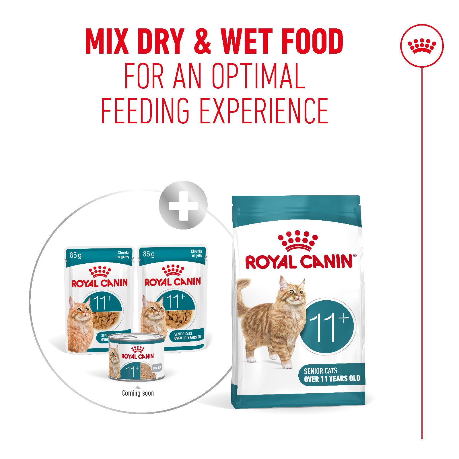 Royal Canin Ageing 11+ Ultra Soft Mousse Wet Cat Food for Senior Cats, 85g