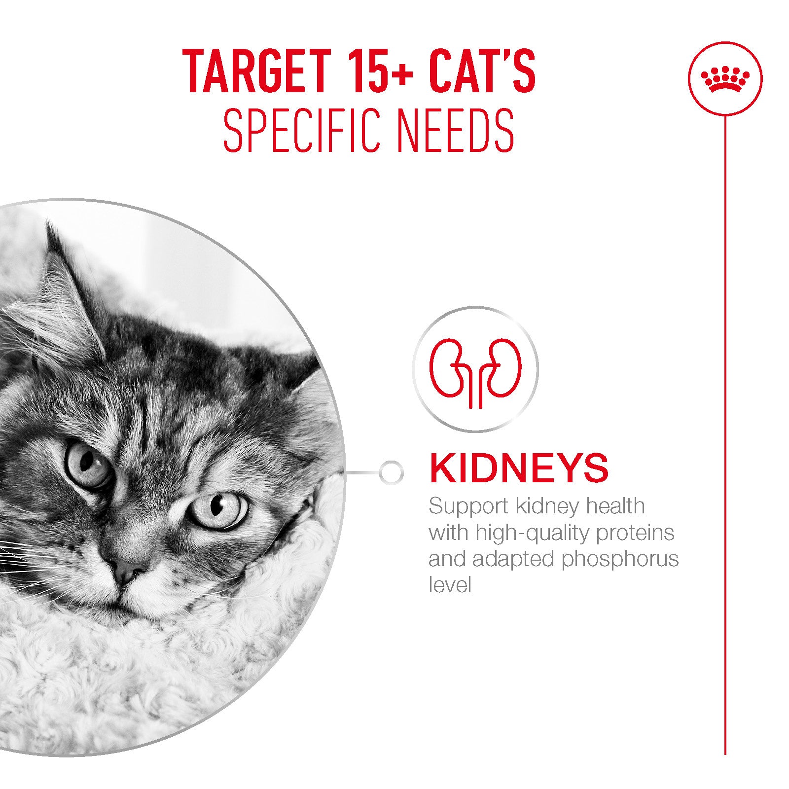 Royal Canin Ageing 15+ Ultra Soft Mousse Wet Cat Food for Senior Cats, 85g
