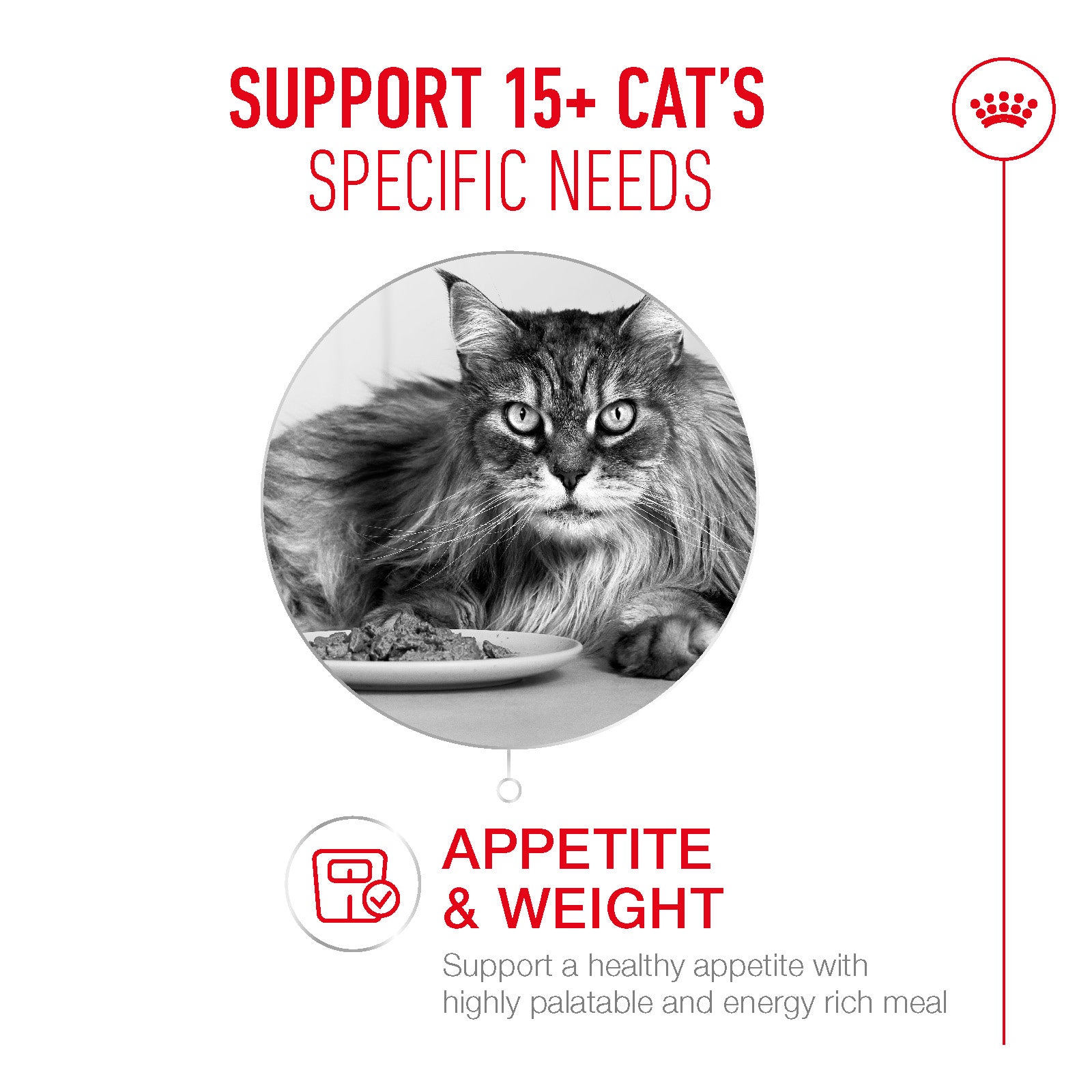 Royal Canin Ageing 15+ Ultra Soft Mousse Wet Cat Food for Senior Cats, 85g