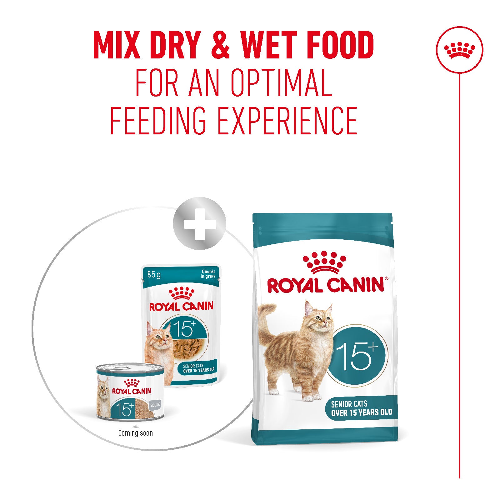 Royal Canin Ageing 15+ Ultra Soft Mousse Wet Cat Food for Senior Cats, 85g