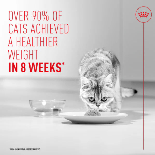 Royal Canin Light Weight Care Airlift Mousse Wet Cat Food for Adult Cats, 85g
