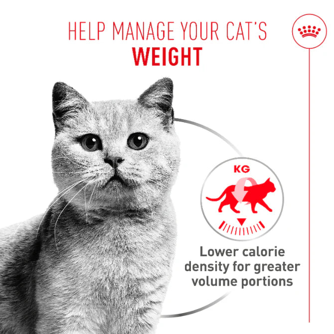 Royal Canin Light Weight Care Airlift Mousse Wet Cat Food for Adult Cats, 85g