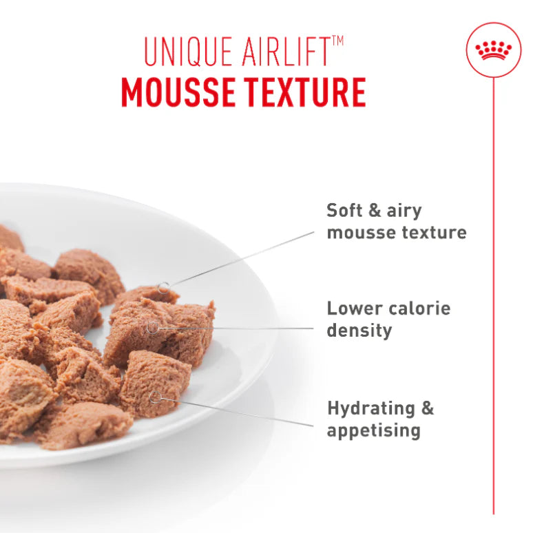 Royal Canin Light Weight Care Airlift Mousse Wet Cat Food for Adult Cats, 85g