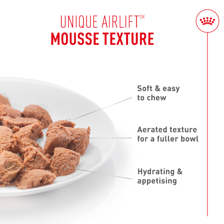 Royal Canin Appetite Control Airlift Mousse Wet Cat Food for Adult Cats, 85g