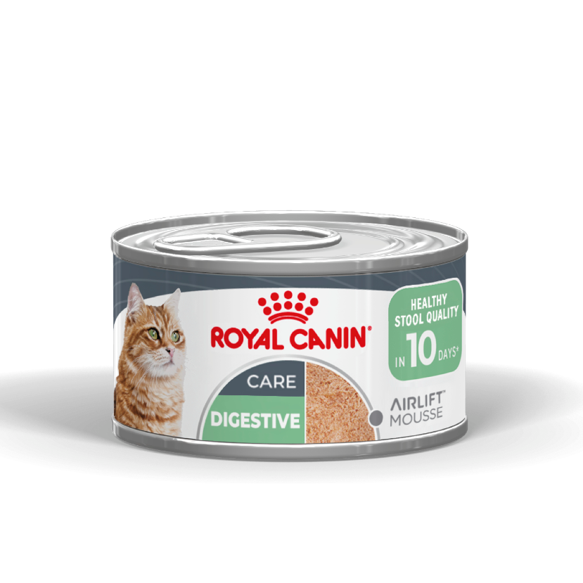 Royal Canin Digestive Airlift Mousse Wet Cat Food for Adult Cats, 85g