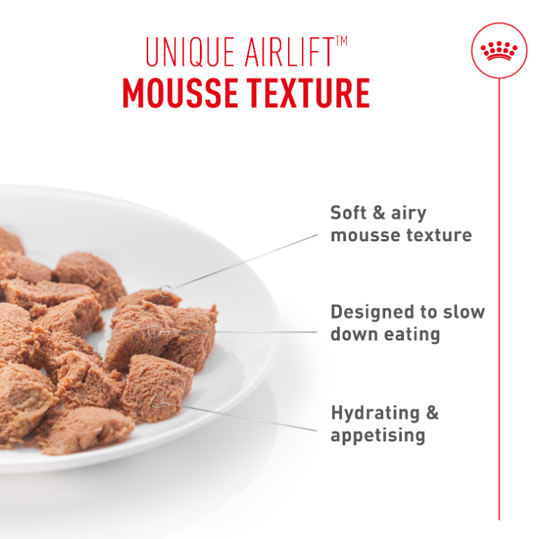 Royal Canin Digestive Airlift Mousse Wet Cat Food for Adult Cats, 85g