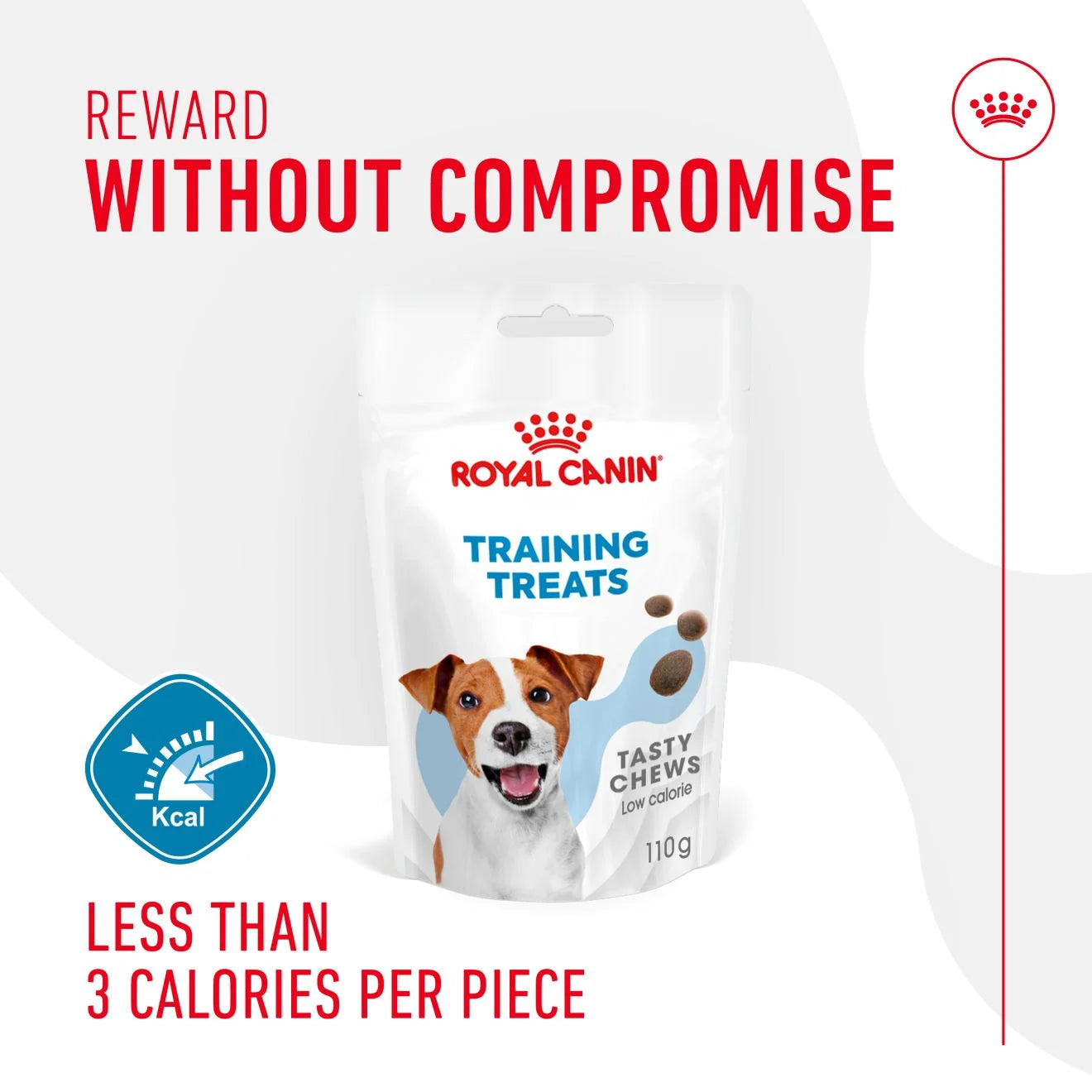 Royal Canin Dog Training Treats, 110g