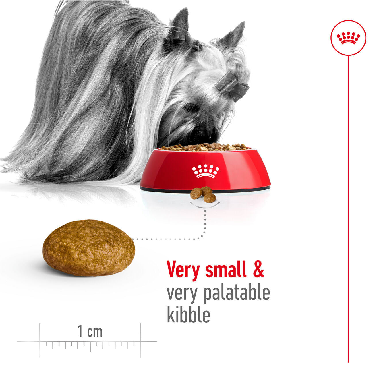 Royal Canin Dry Dog Food for Extra-Small Breed Adult Dogs, 1.5kg