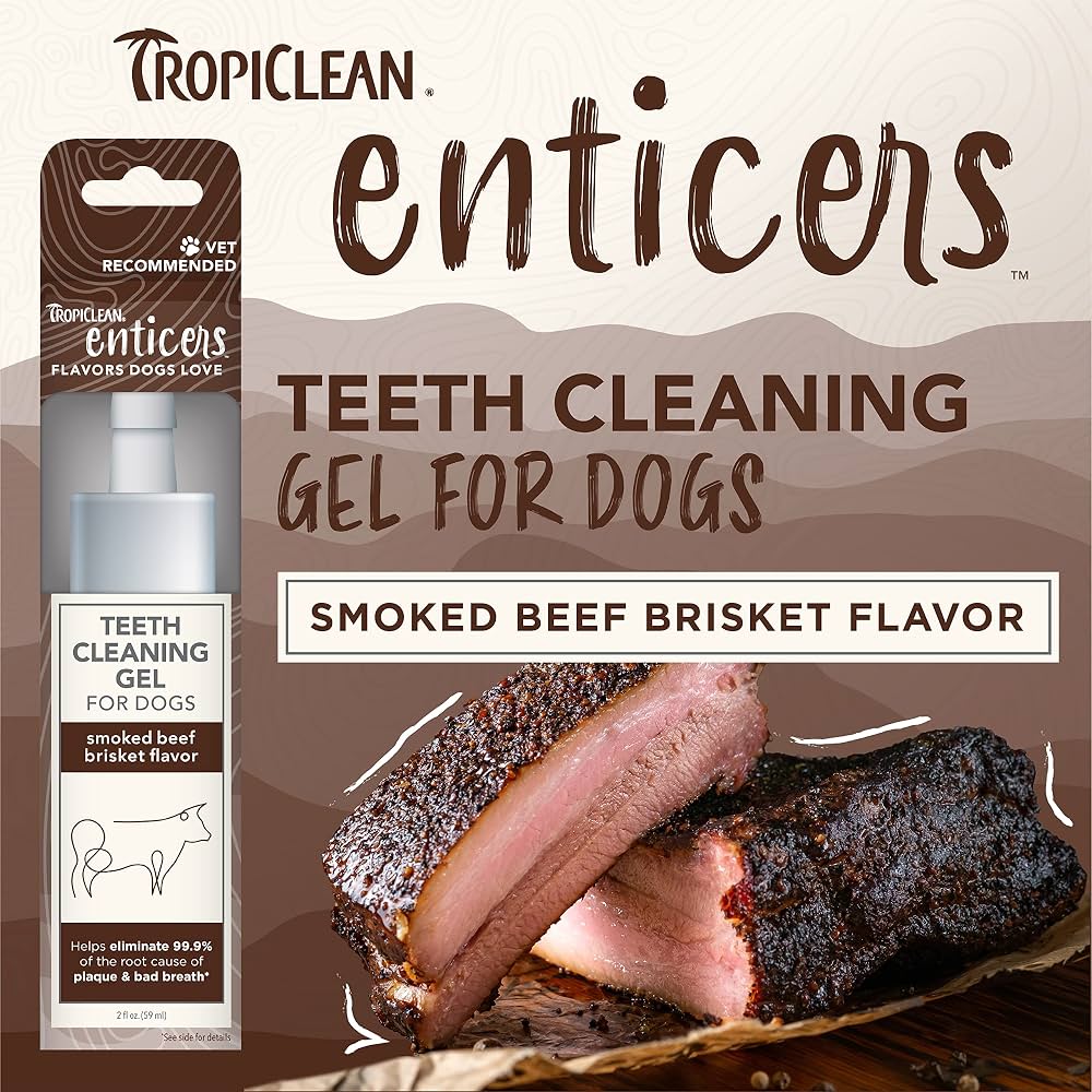TropiClean Enticer Teeth Cleaning Gel for Dogs, Beef
