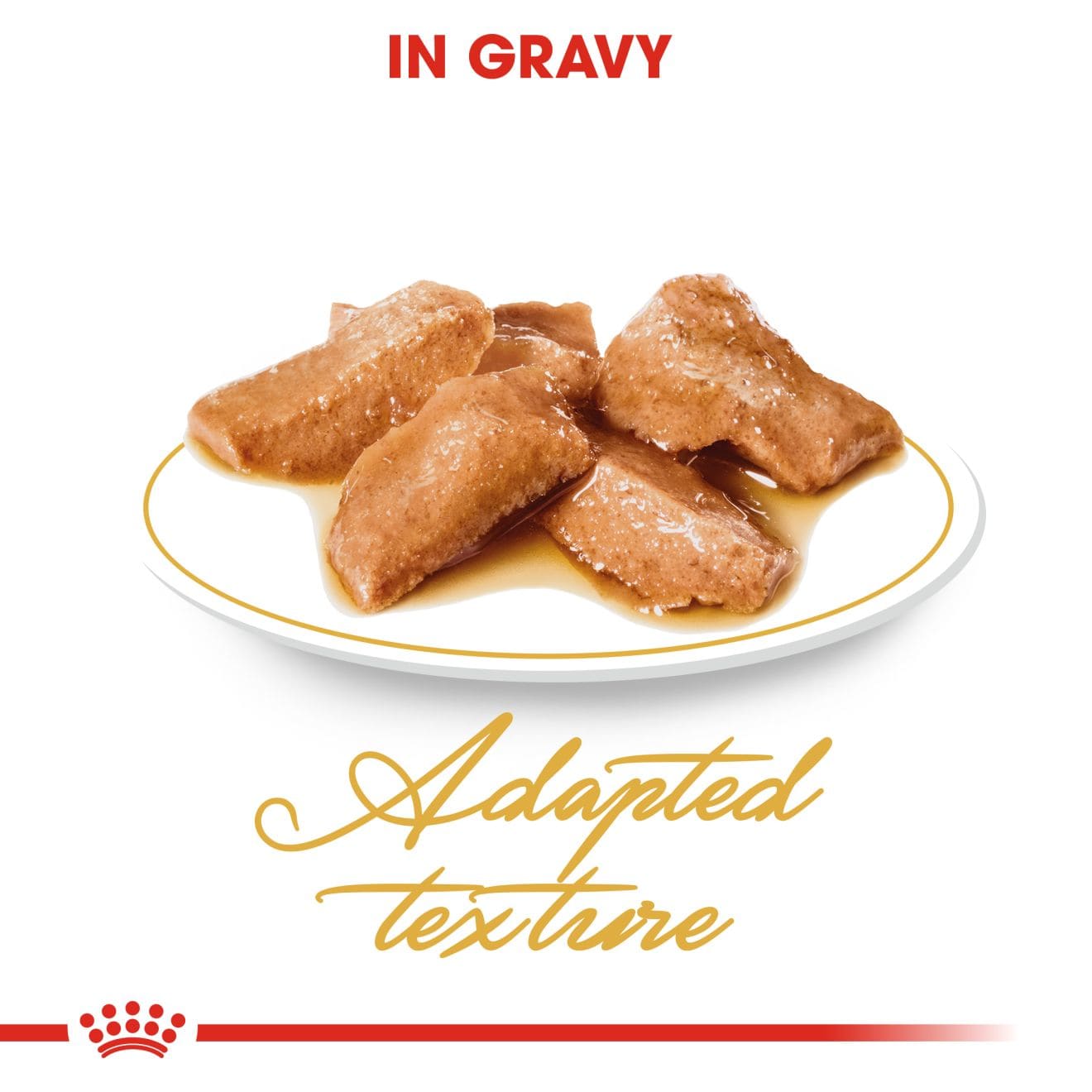Royal Canin Wet Cat Food Chunks In Gravy for Adult Maine Coon Cats, 85g