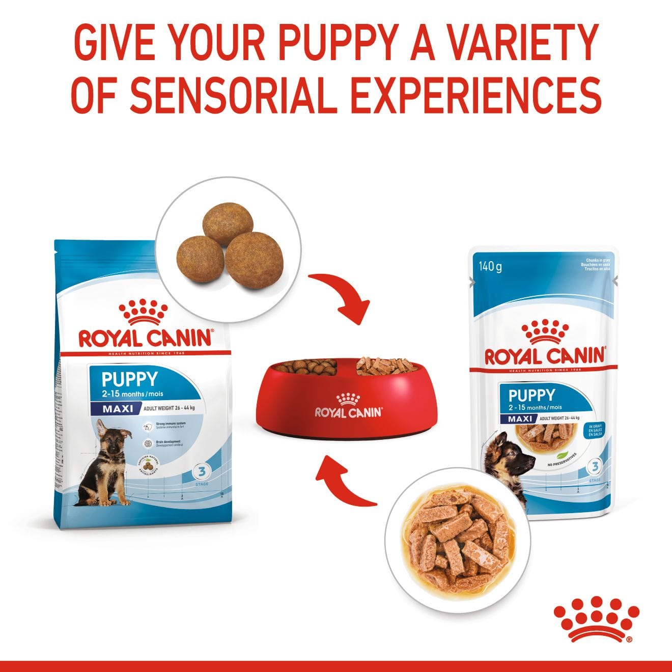 Royal Canin Dry Dog Food for Large Breed Puppies, 4kg