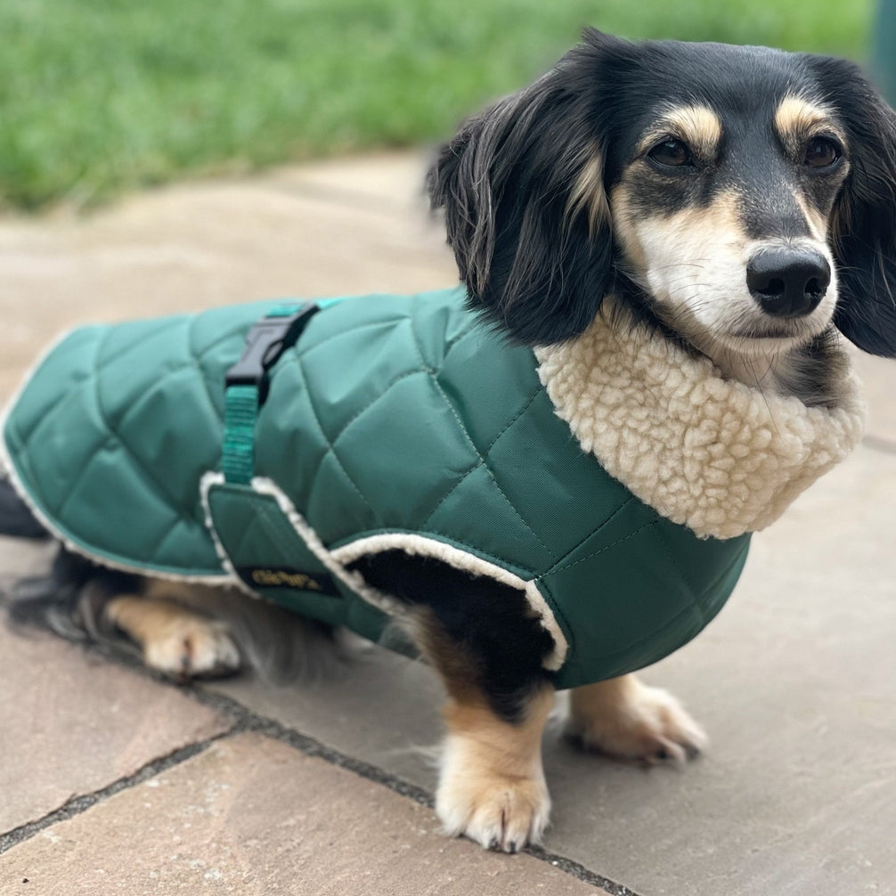 Chic Pup Co Green Waterproof Sherpa-Lined Dog Coat for Dachshunds