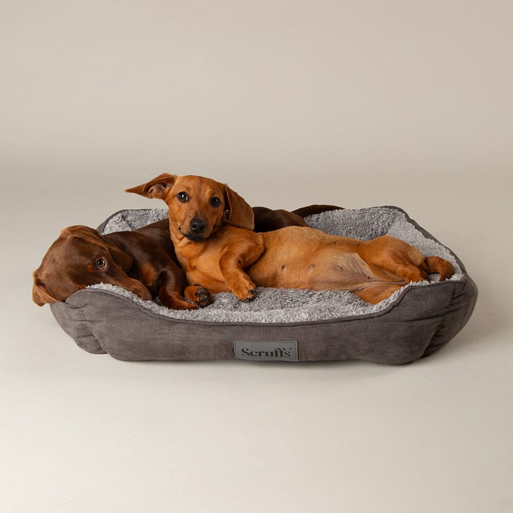 Scruffs Cosy Grey Soft-Walled Box Dog Bed, Large