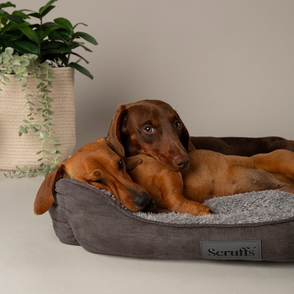 Scruffs Cosy Grey Soft-Walled Box Dog Bed, Large
