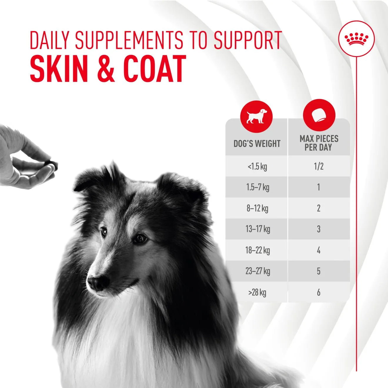 Royal Canin Dog Supplement for Skin & Coat Soft Chews, 240g