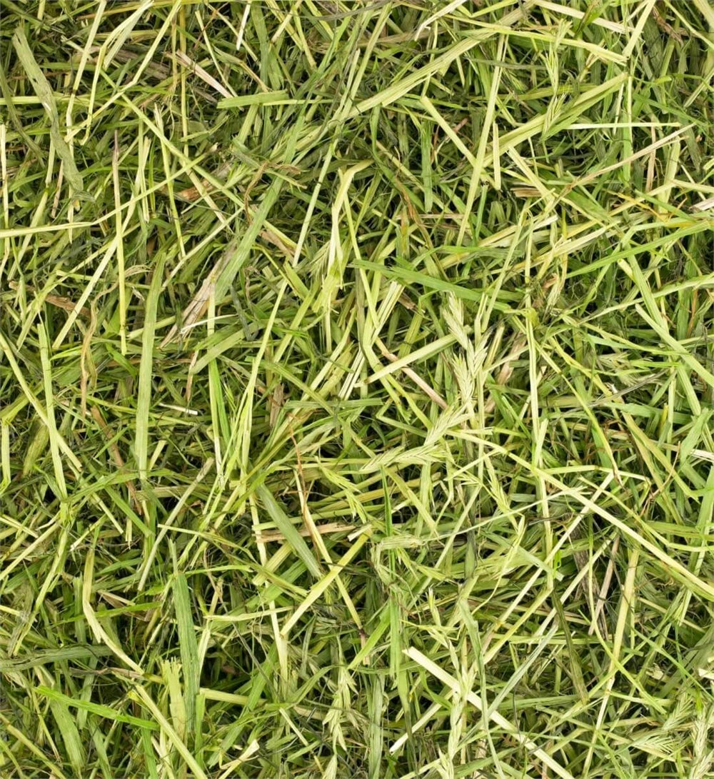 Friendly Readigrass 100% Natural Feed, 1kg Bale