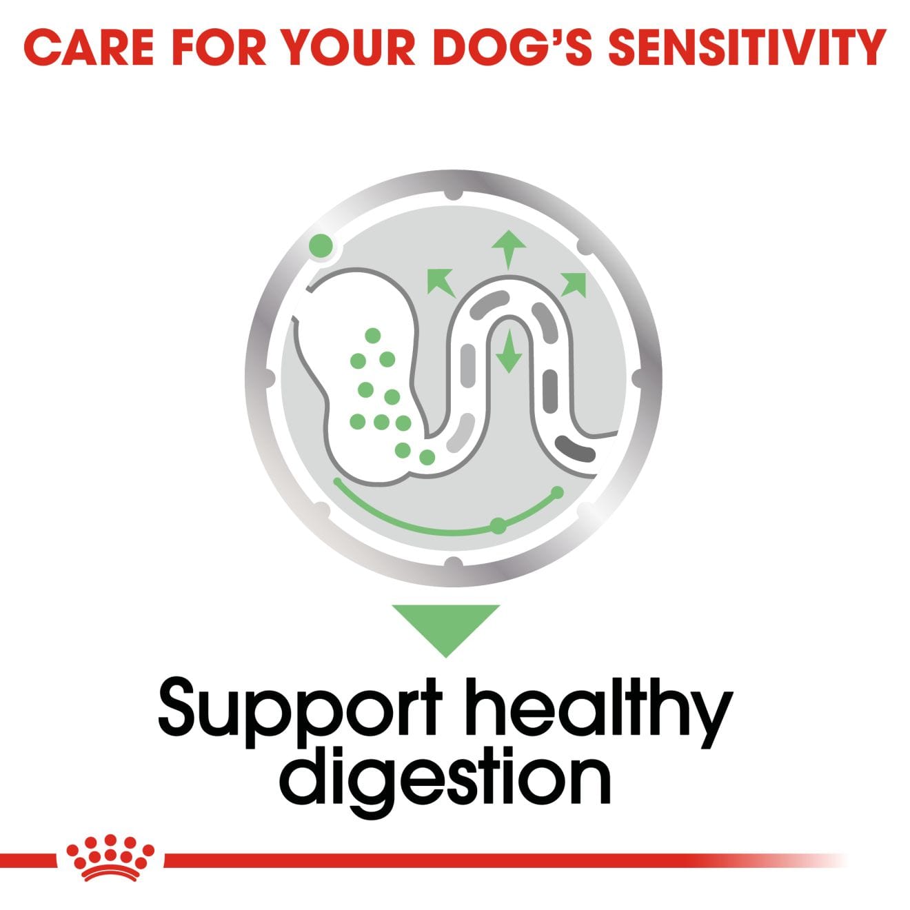 Royal Canin Digestive Care Wet Dog Food Loaf In Sauce for Adult Dogs, 85g
