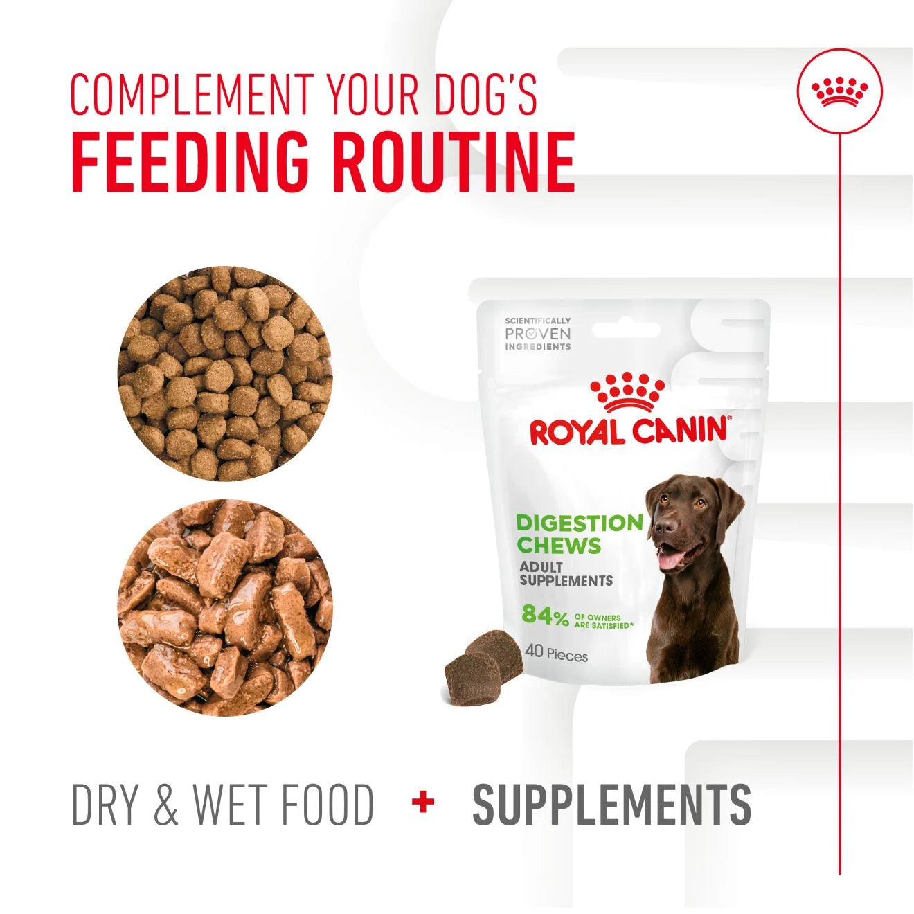 Royal Canin Dog Supplement for Digestion Soft Chews, 160g