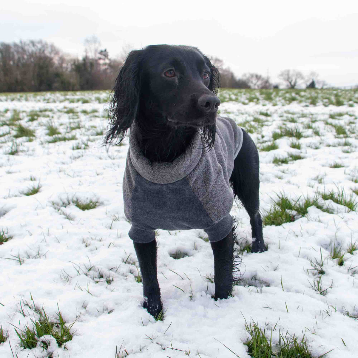 Ancol Snug Fit Polar Fleece Dog Jumper, Grey