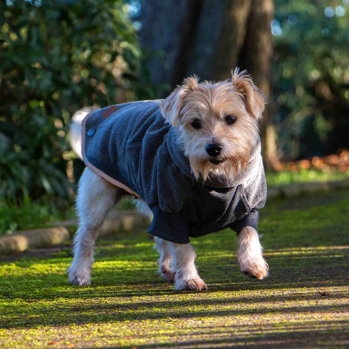 Ancol Snug Fit Polar Fleece Dog Jumper, Grey