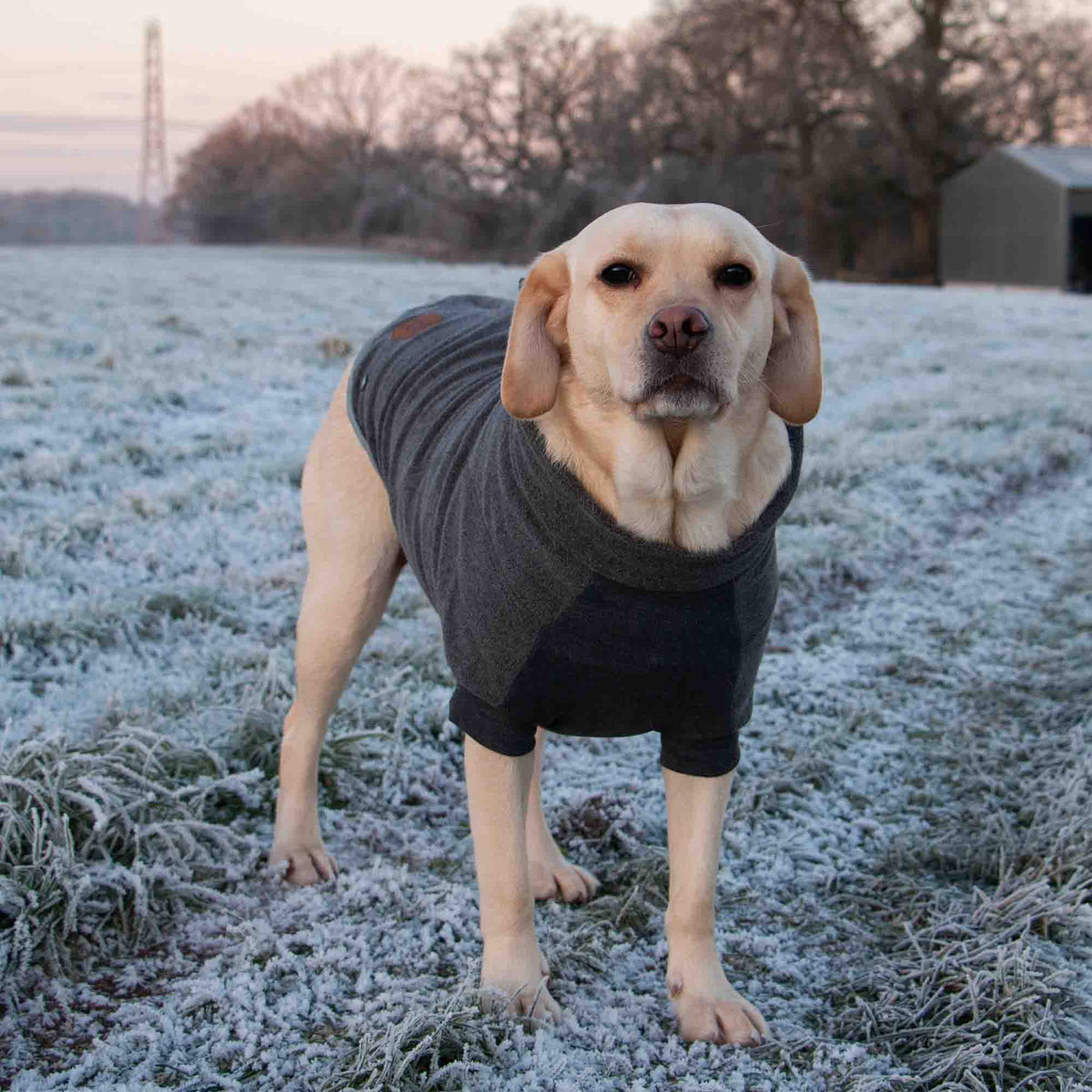 Ancol Snug Fit Polar Fleece Dog Jumper, Grey