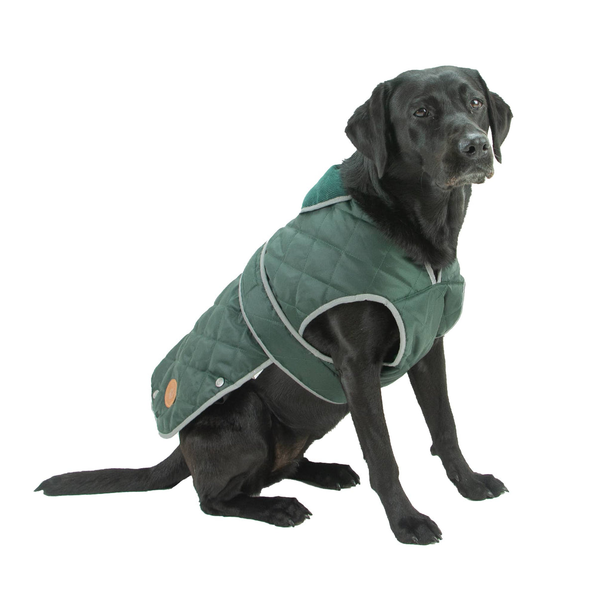 Ancol Heritage Green Quilted Dog Coat