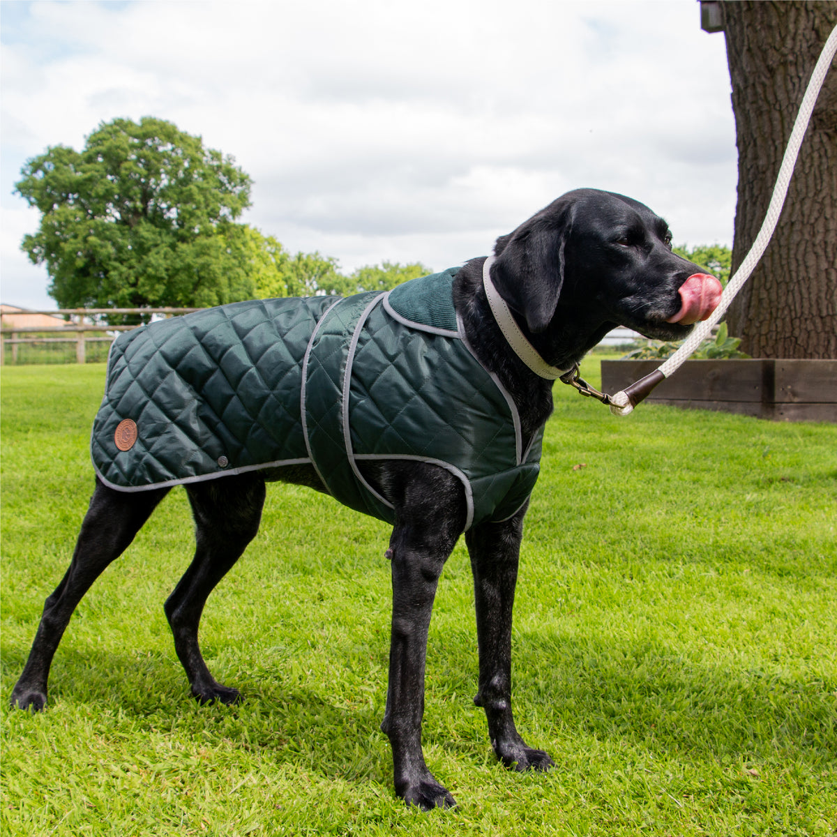 Ancol Heritage Green Quilted Dog Coat