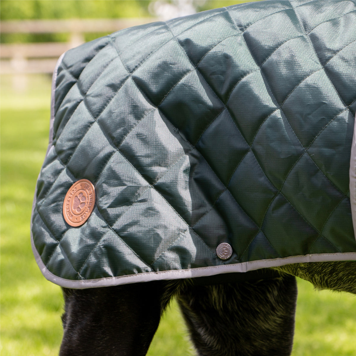 Ancol Heritage Green Quilted Dog Coat