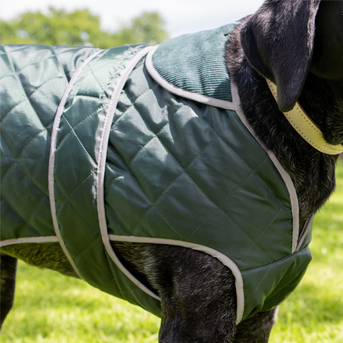 Ancol Heritage Green Quilted Dog Coat