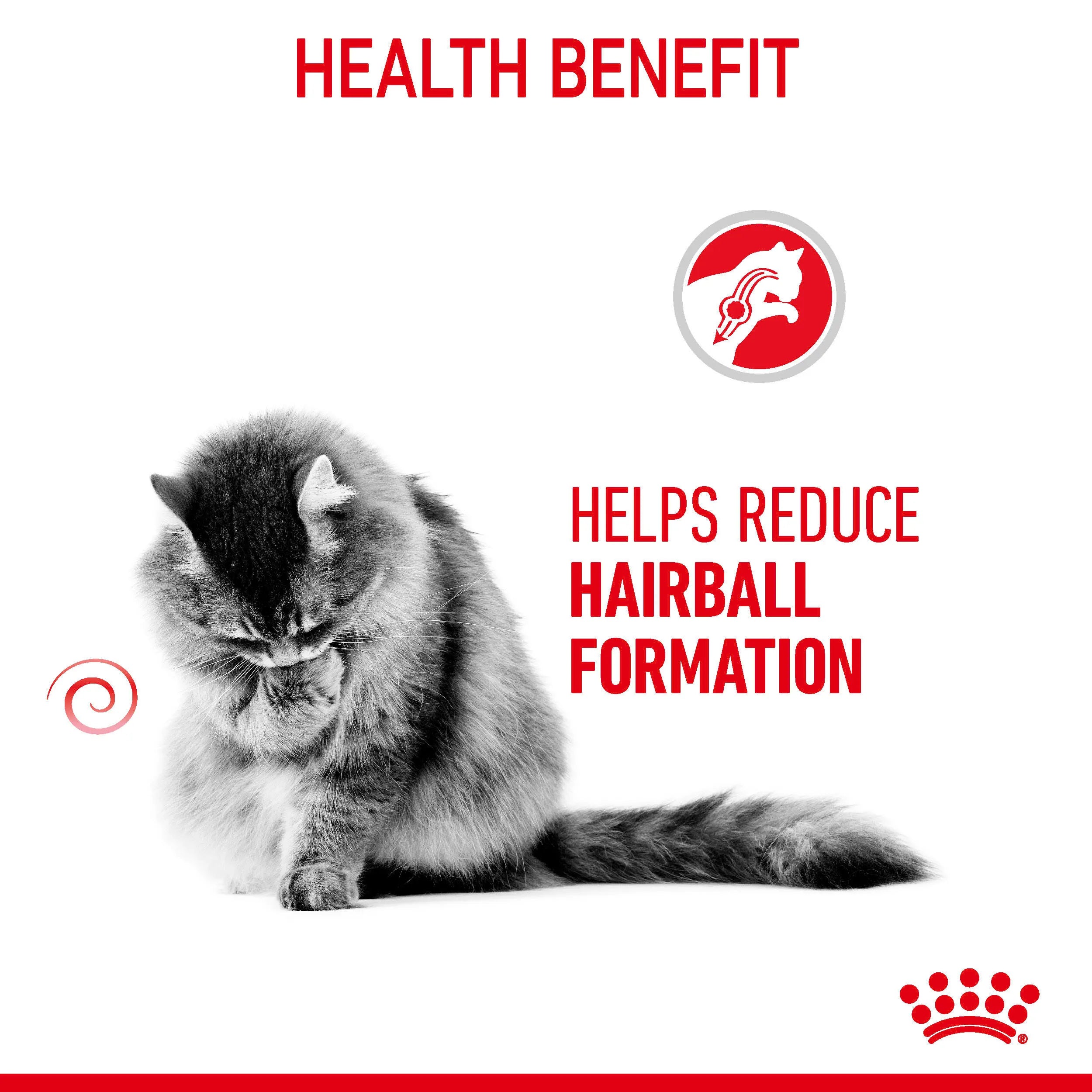 Royal Canin Hairball Care Wet Cat Food Thin Slices in Jelly for Adult Cats, 85g