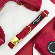Cocopup Mulled Wine Cable Knit Dog Collar