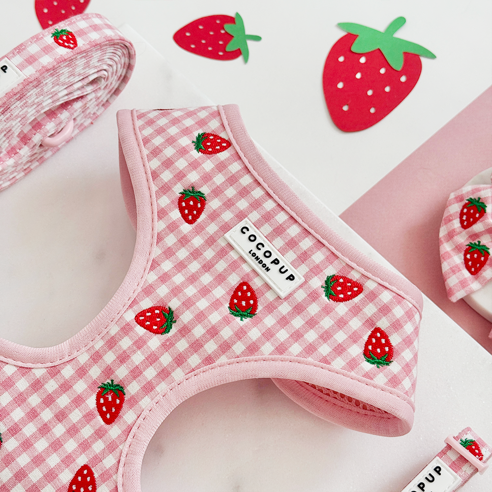 Cocopup Strawberry Picnic Pup Adjustable Neck Dog Harness